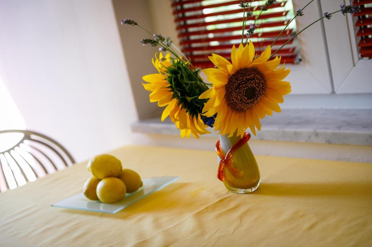 Apartment Marko Kornić Dış mekan fotoğraf